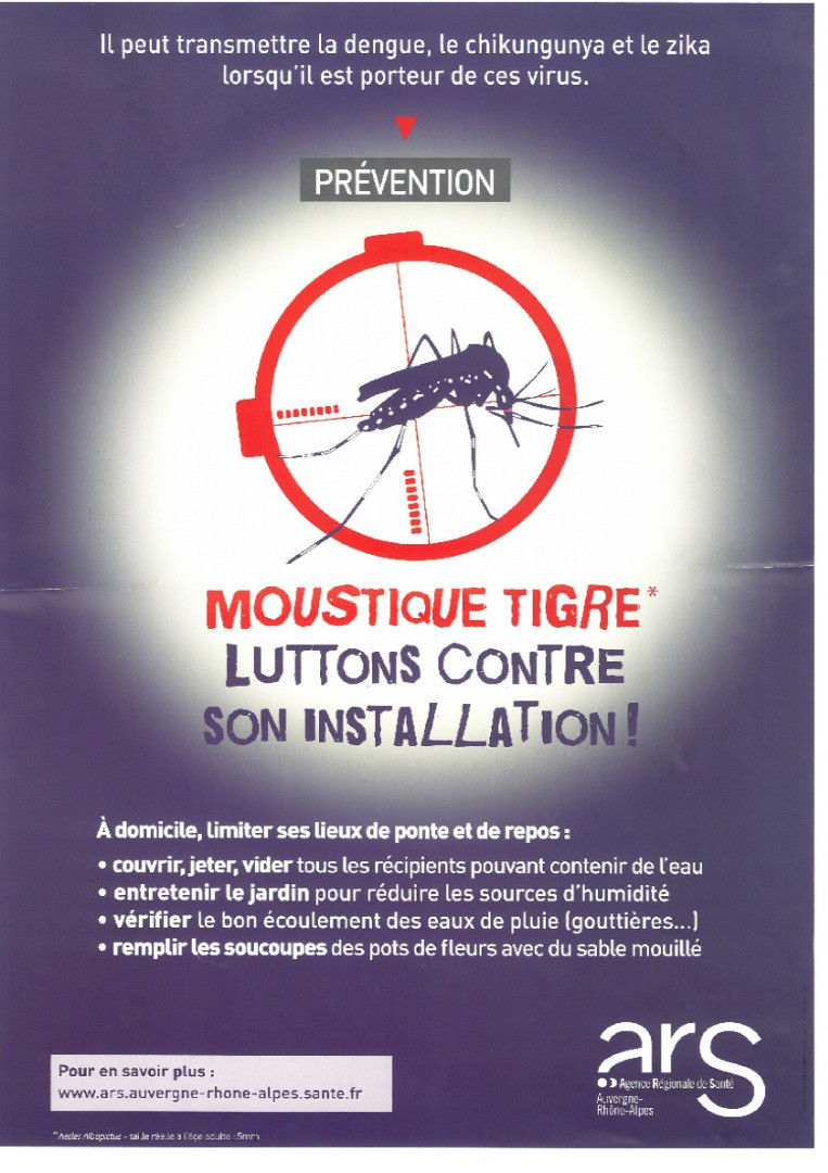 affiche moustique tigre